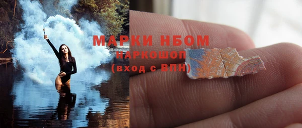 шишки Осташков