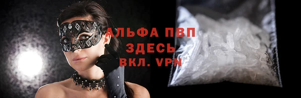 шишки Осташков