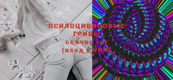 шишки Осташков