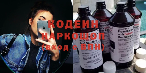 шишки Осташков