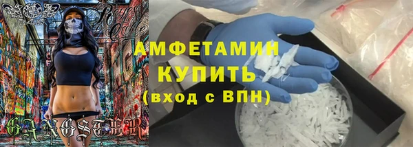 шишки Осташков