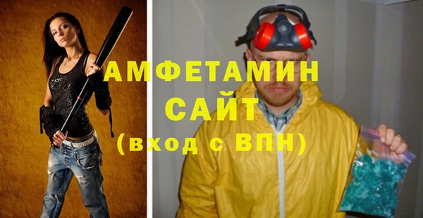 шишки Осташков