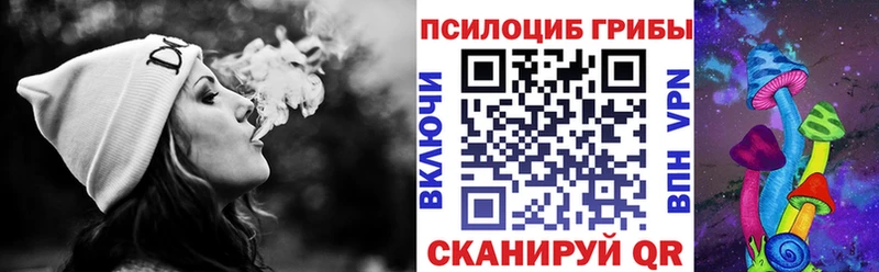 Галлюциногенные грибы Psilocybine cubensis  Тайга 